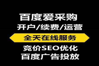 百度SEO推广技巧案例分析